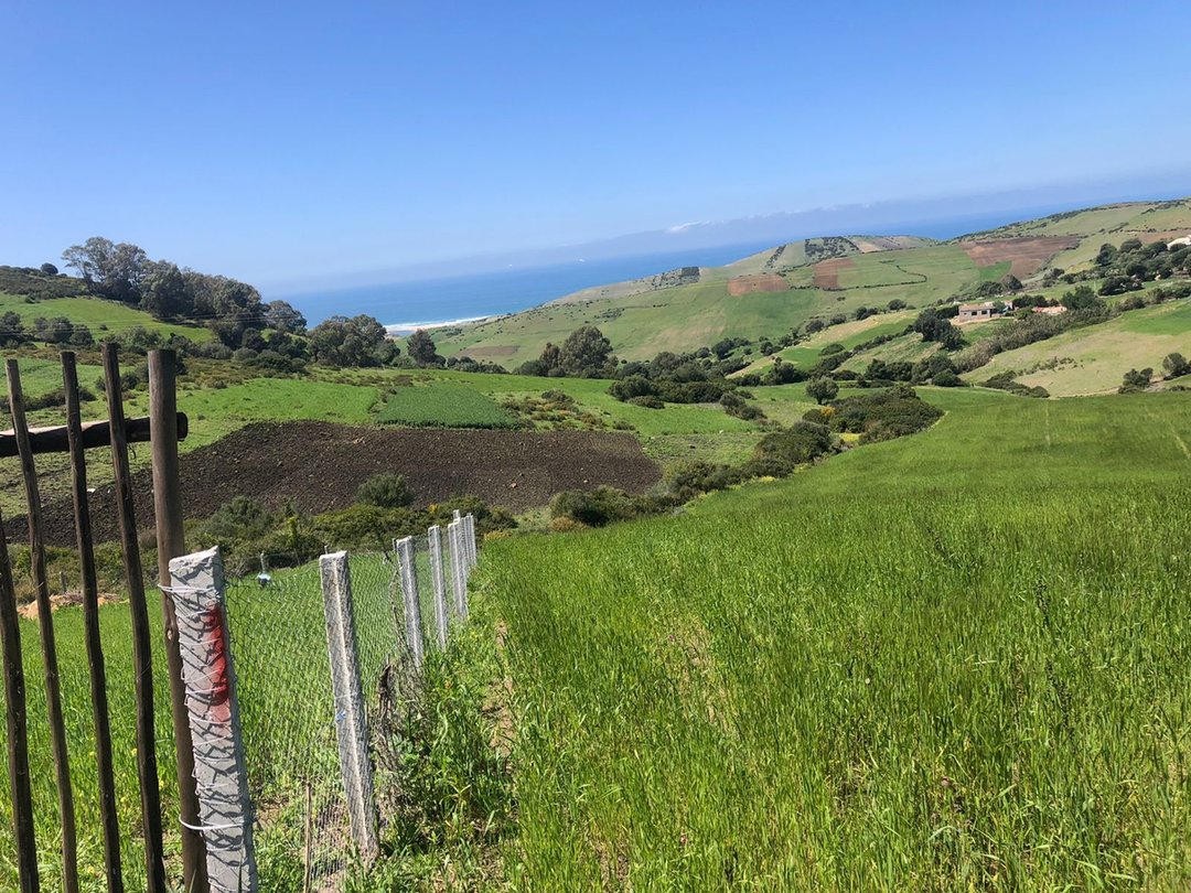 أرض للبيع - Photo 3