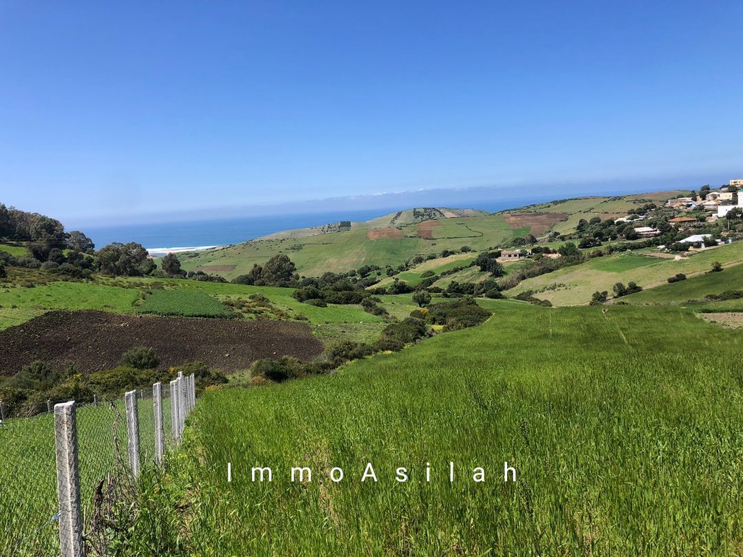 أرض للبيع - Photo 1