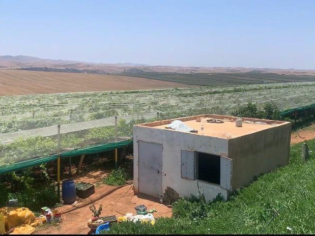 مزرعة للبيع - Photo 1