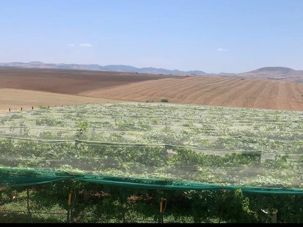 مزرعة للبيع - Photo 3