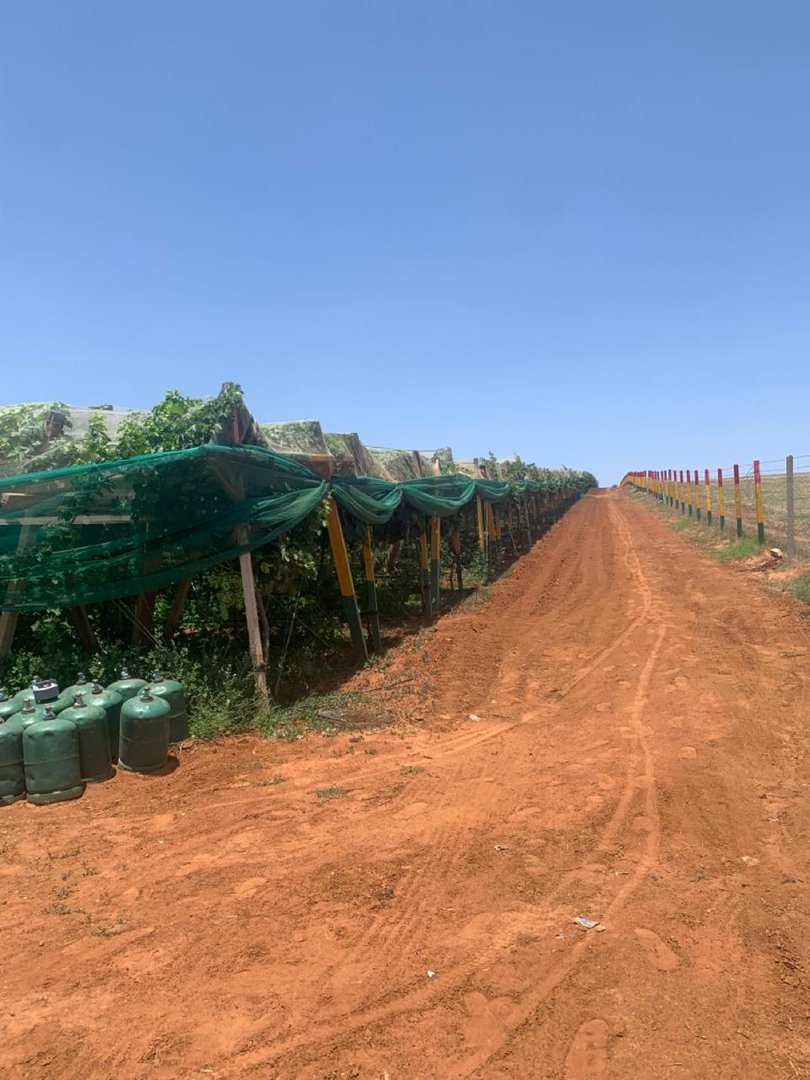 مزرعة للبيع - Photo 7