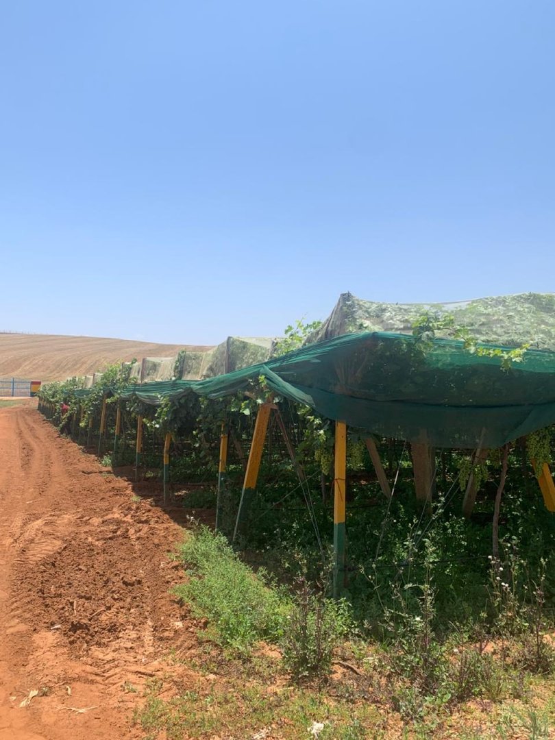 مزرعة للبيع - Photo 6