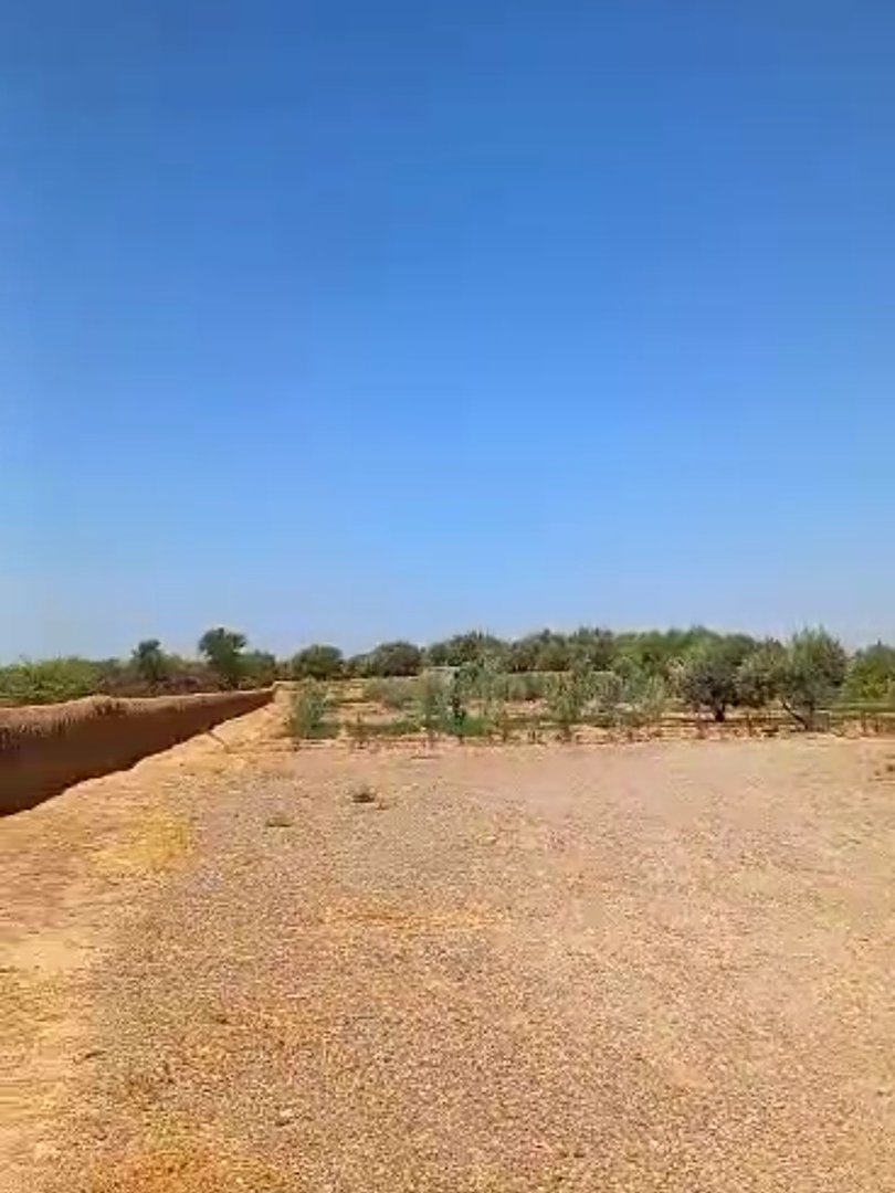 Terrain à vendre - Photo 1