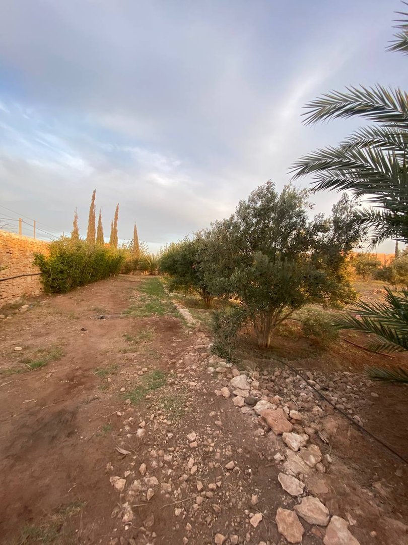 Terrain à vendre - Photo 10