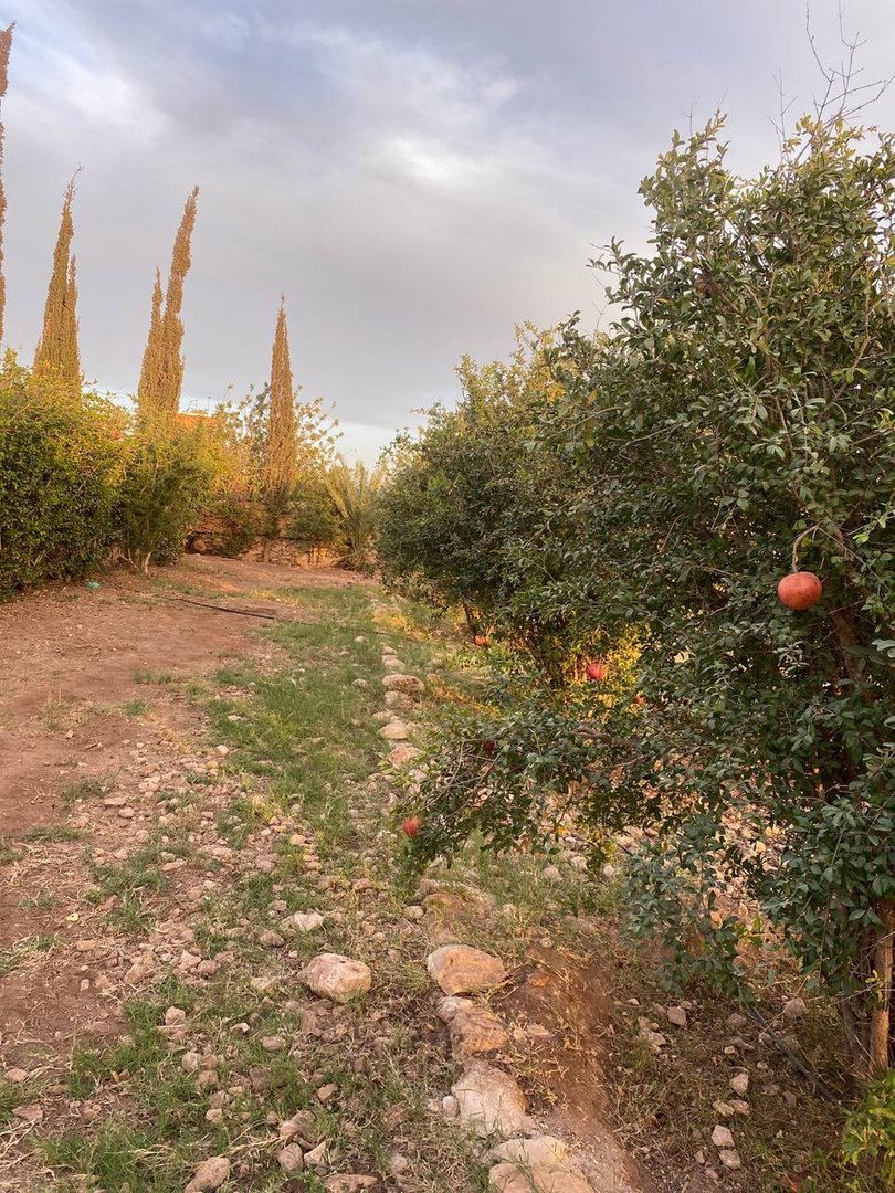 Terrain à vendre - Photo 9