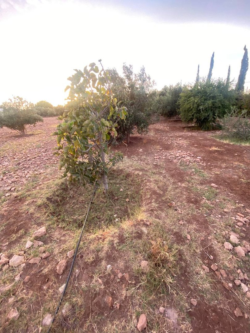 Terrain à vendre - Photo 11