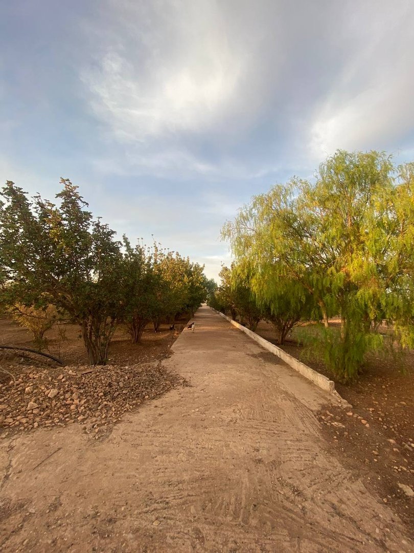 Terrain à vendre - Photo 16