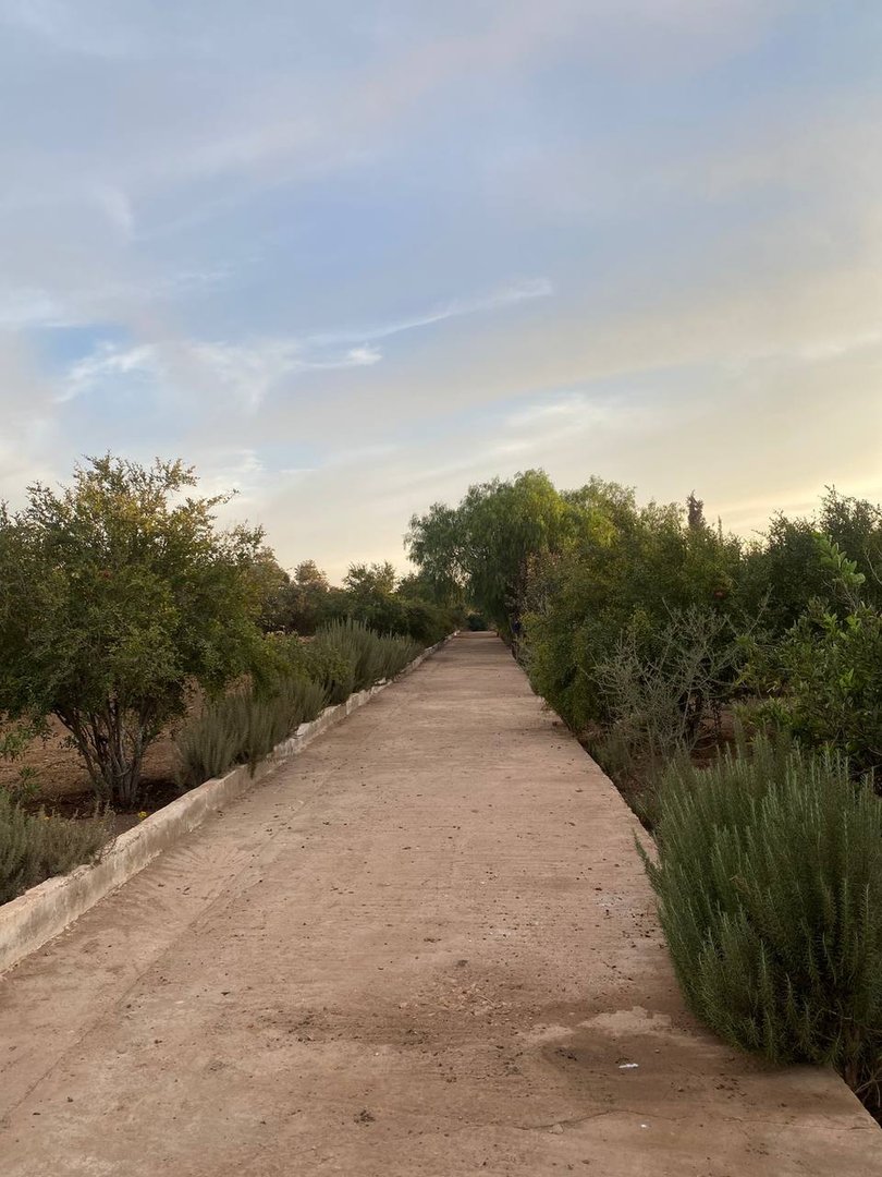 Terrain à vendre - Photo 25