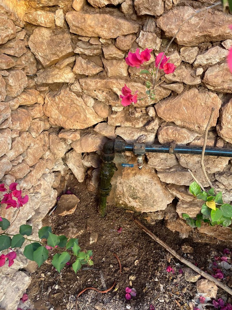 Terrain à vendre - Photo 5