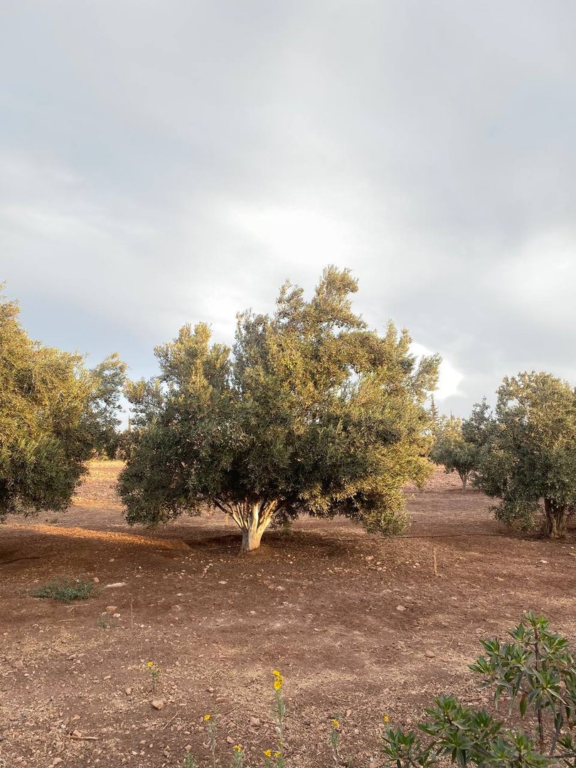 Terrain à vendre - Photo 22