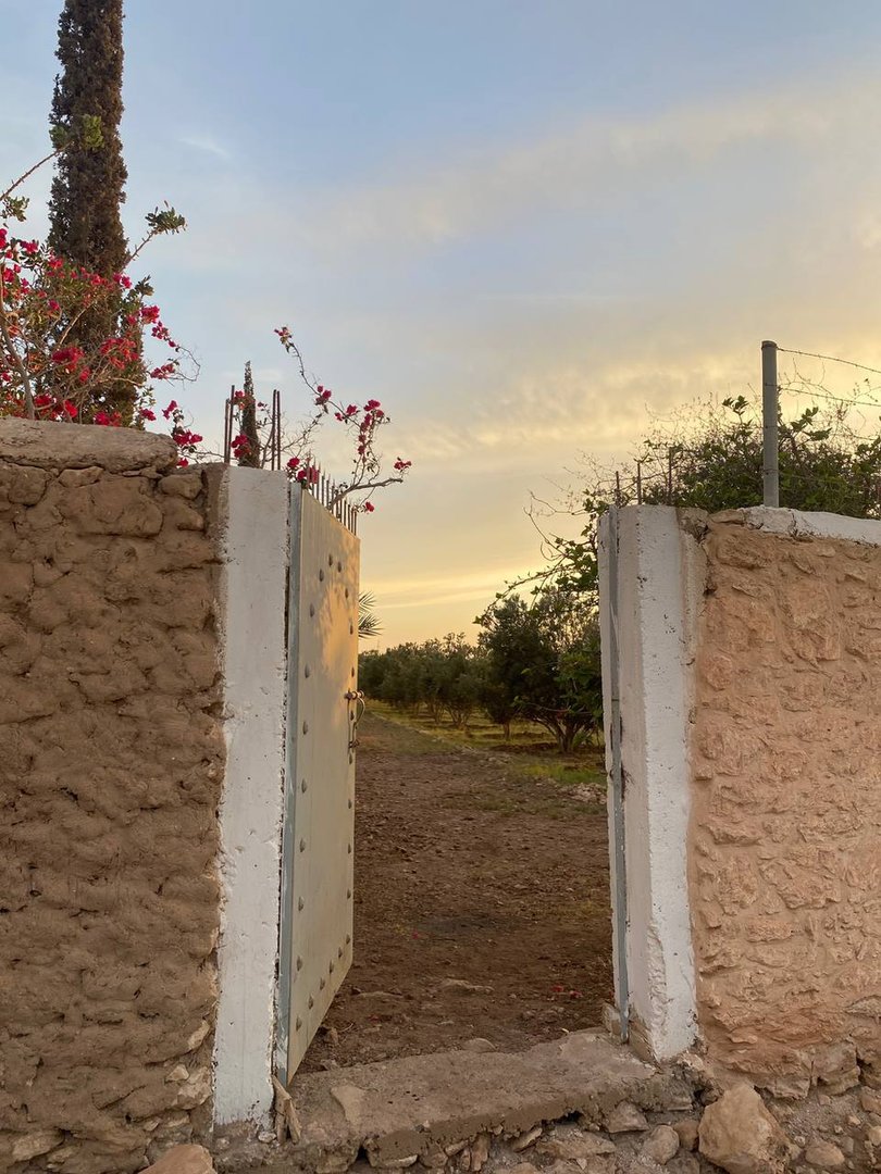 Terrain à vendre - Photo 6