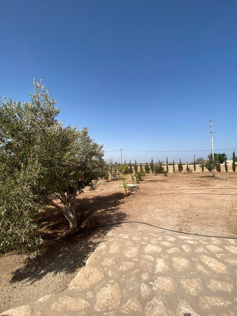 فيلا للبيع في الصويرة - لحرطة، 4 غرف نوم، مسبح. - Photo 29