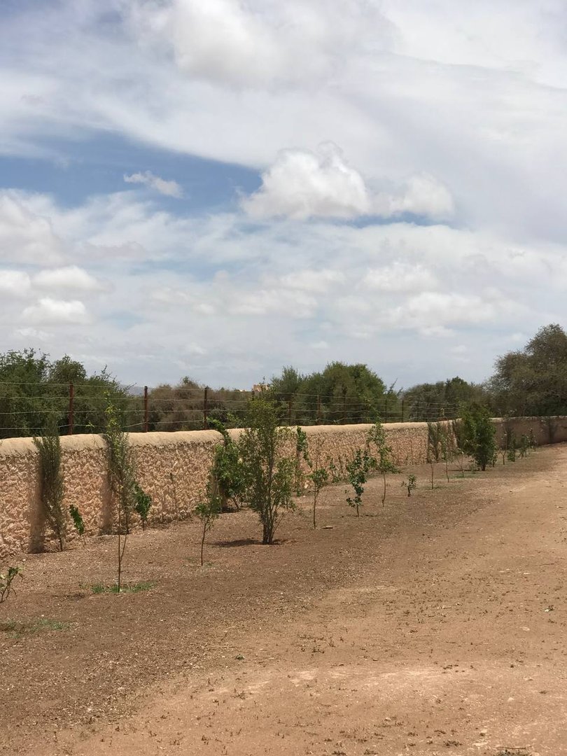 Villa en venta con piscina - Photo 14