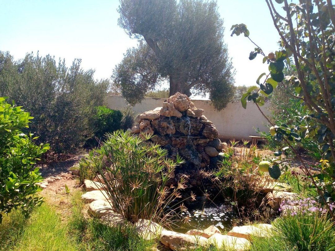 Villa for sale with pool, 3 bedrooms, 2000m². - Photo 19