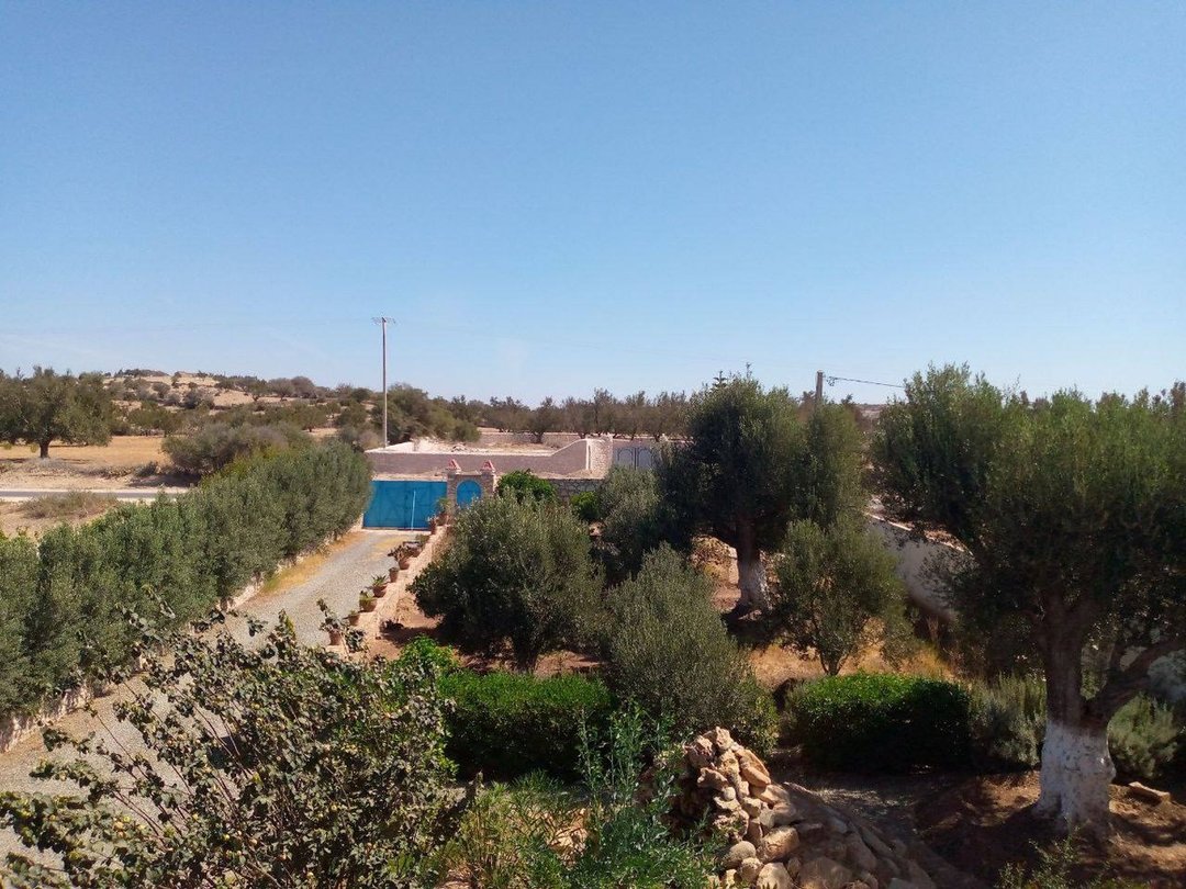 Villa for sale with pool, 3 bedrooms, 2000m². - Photo 16