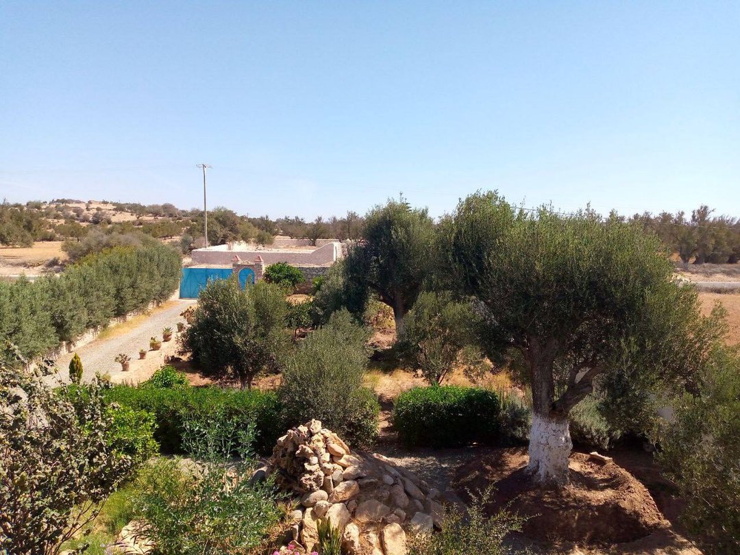 3-Bedroom Villa with Pool - Photo 13