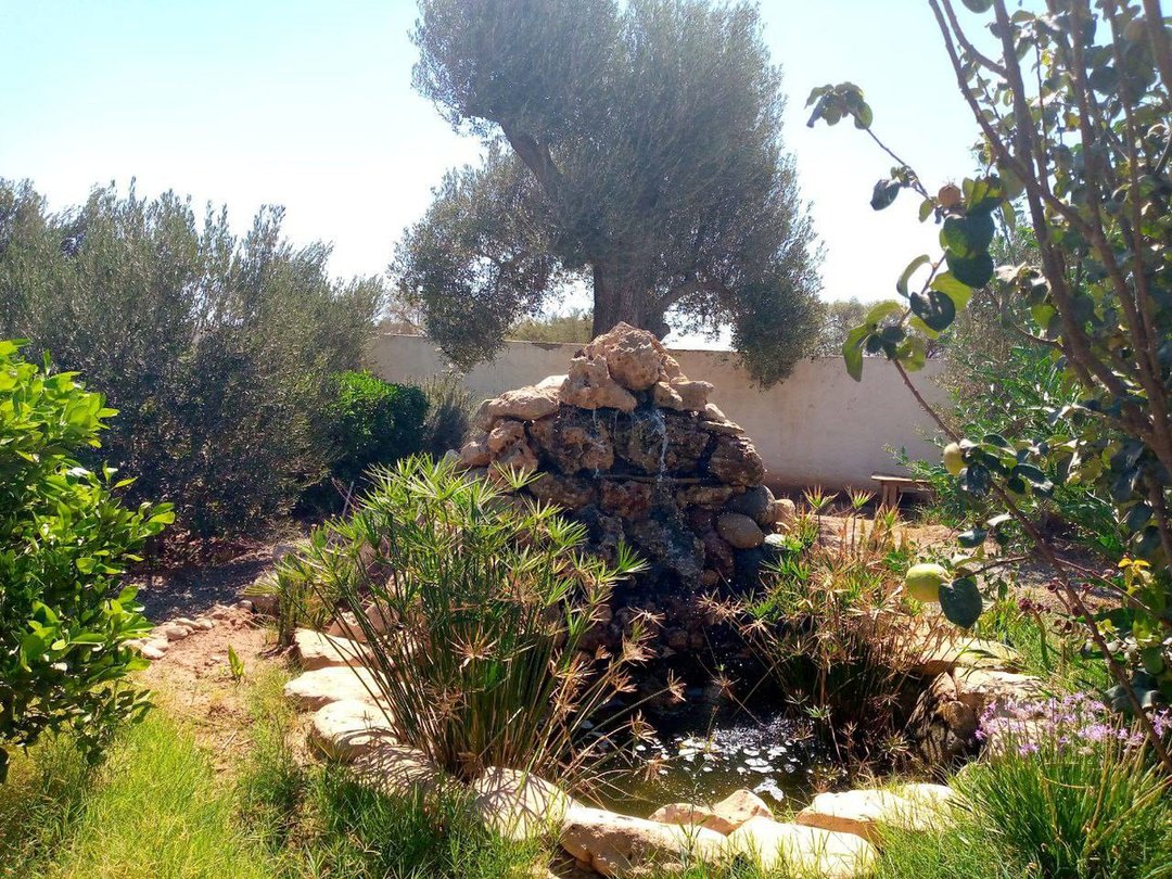 3-Bedroom Villa with Pool - Photo 15