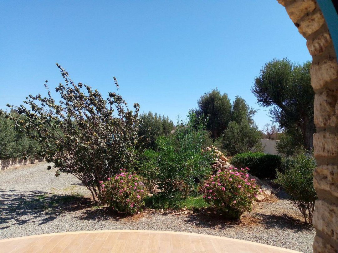 3-Bedroom Villa with Pool - Photo 10