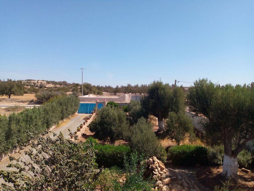 3-Bedroom Villa with Pool - Photo 11