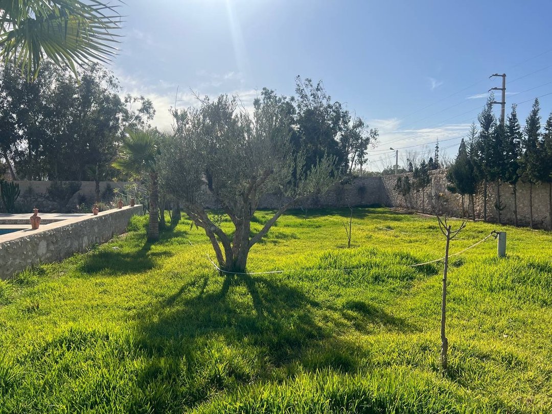 فيلا فخمة مع مسبح في الصويرة - Photo 38