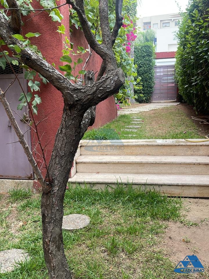 Villa en venta con terraza y tres pisos - Photo 20