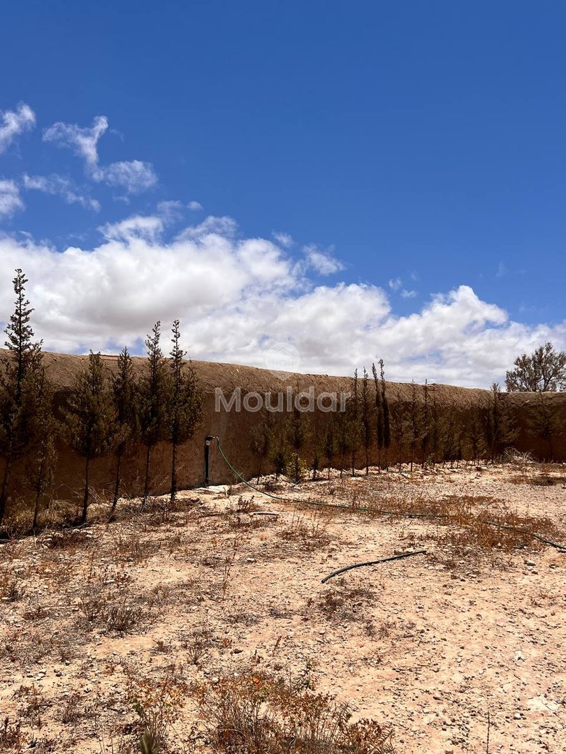 Maison Exceptionnelle à Essaouira : Vivez l'Art de Vivre - Photo 24