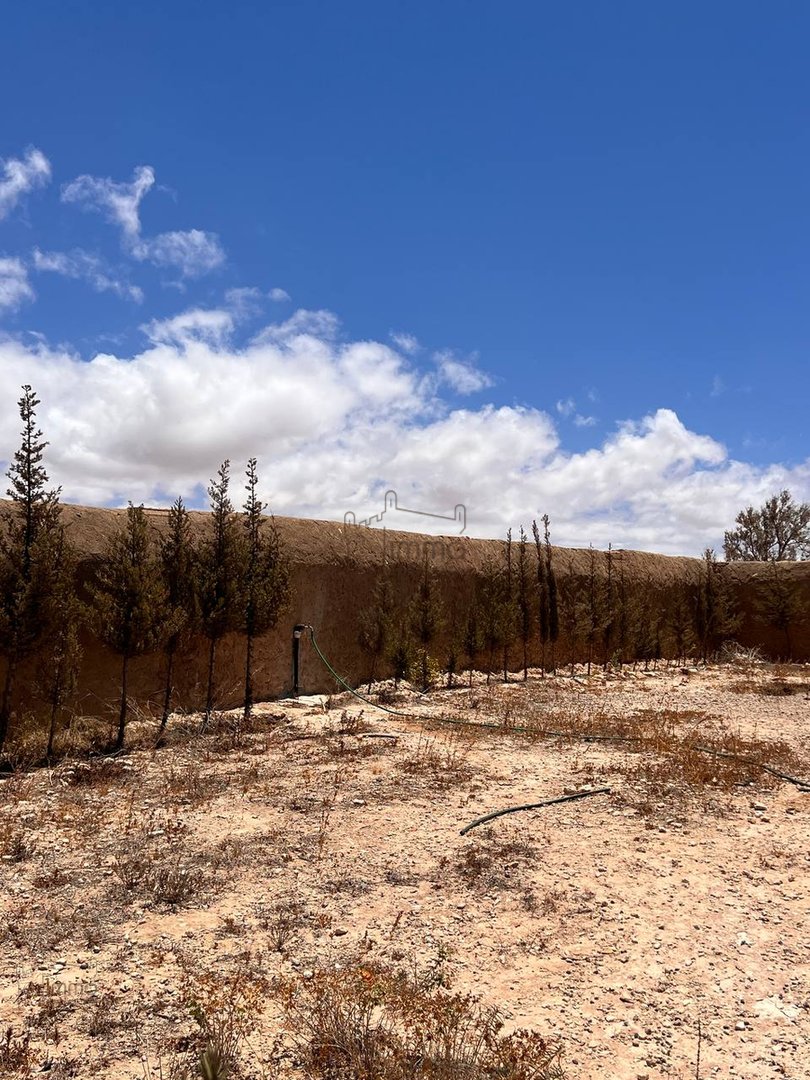 منزل استثنائي في الصويرة: عيشوا فن الحياة - Photo 24