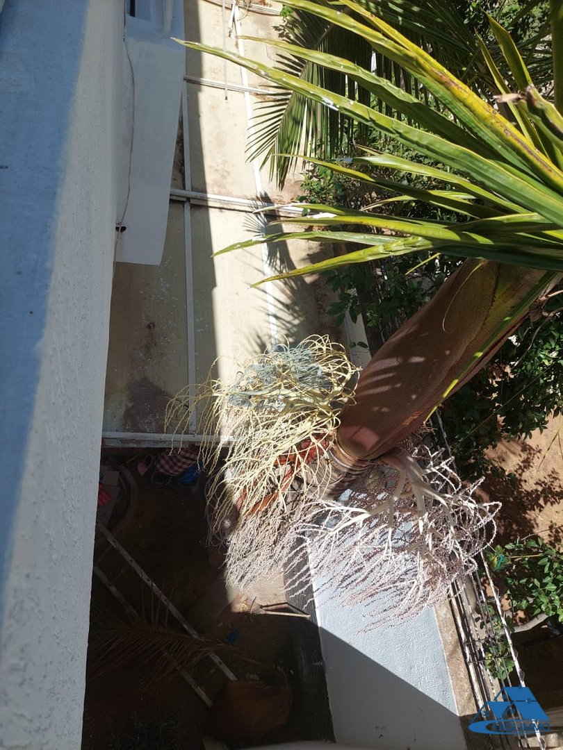 Villa for sale with terrace and three floors - Photo 17