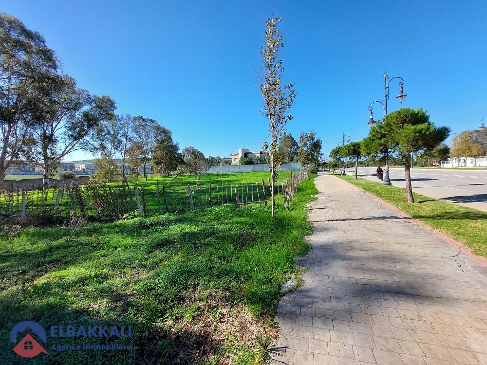 أرض محفظة للبيع لبناء فيلا - Photo 3