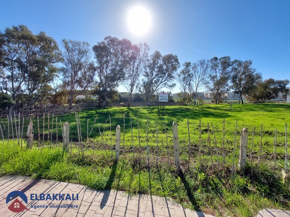 أرض محفظة للبيع لبناء فيلا - Photo 6