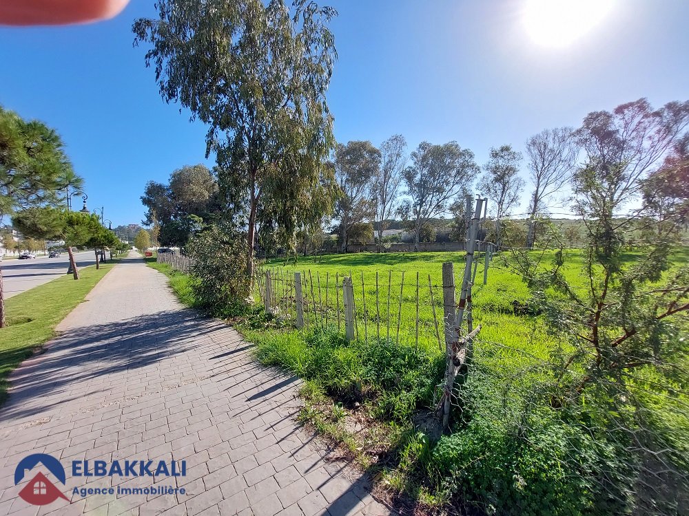 أرض محفظة للبيع لبناء فيلا - Photo 7