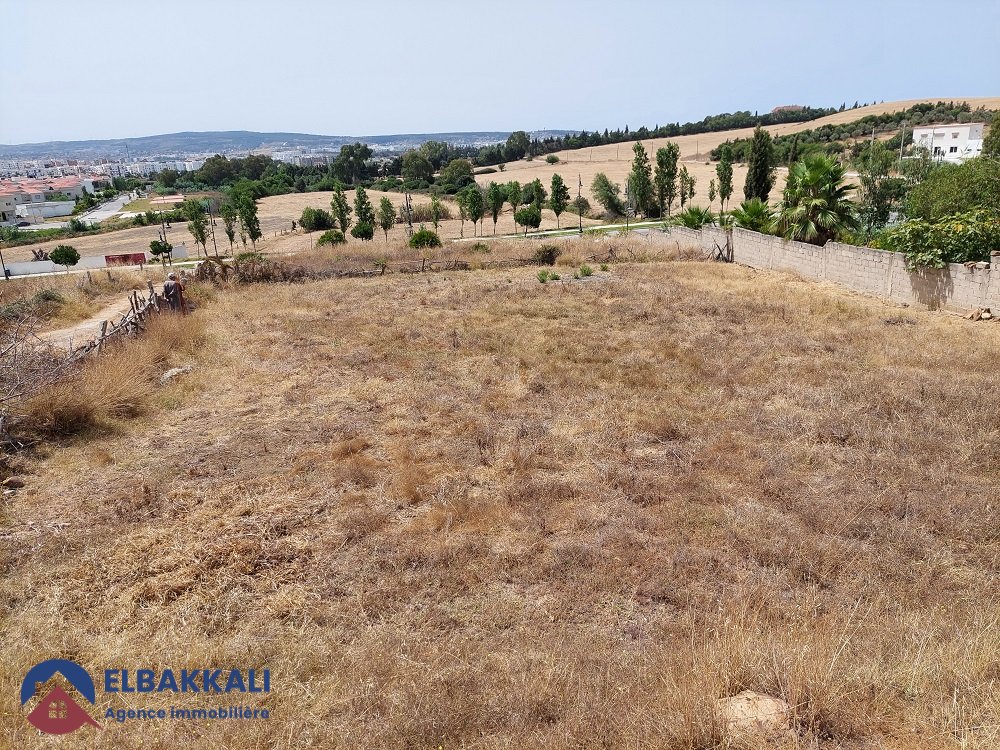 Terreno titulado en venta - Photo 1