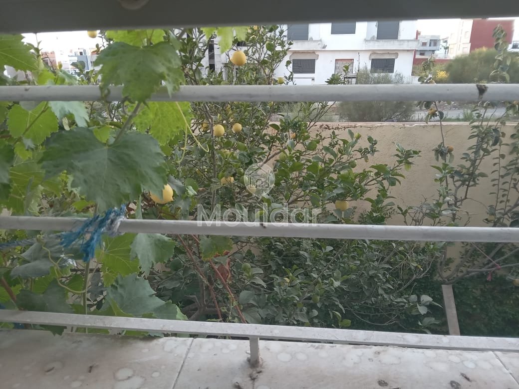 Villa à vendre avec terrasse et trois étages - Photo 7