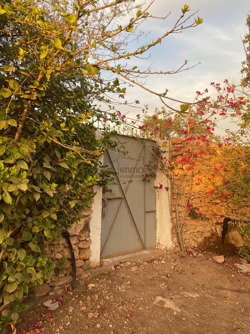 Terreno Agrícola Titulado en Venta: 12 000 m² - Photo 11