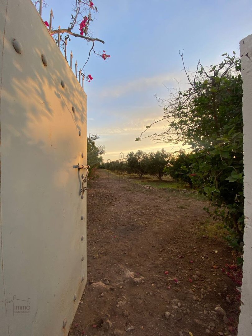 Terreno Agrícola Titulado en Venta: 12 000 m² - Photo 12