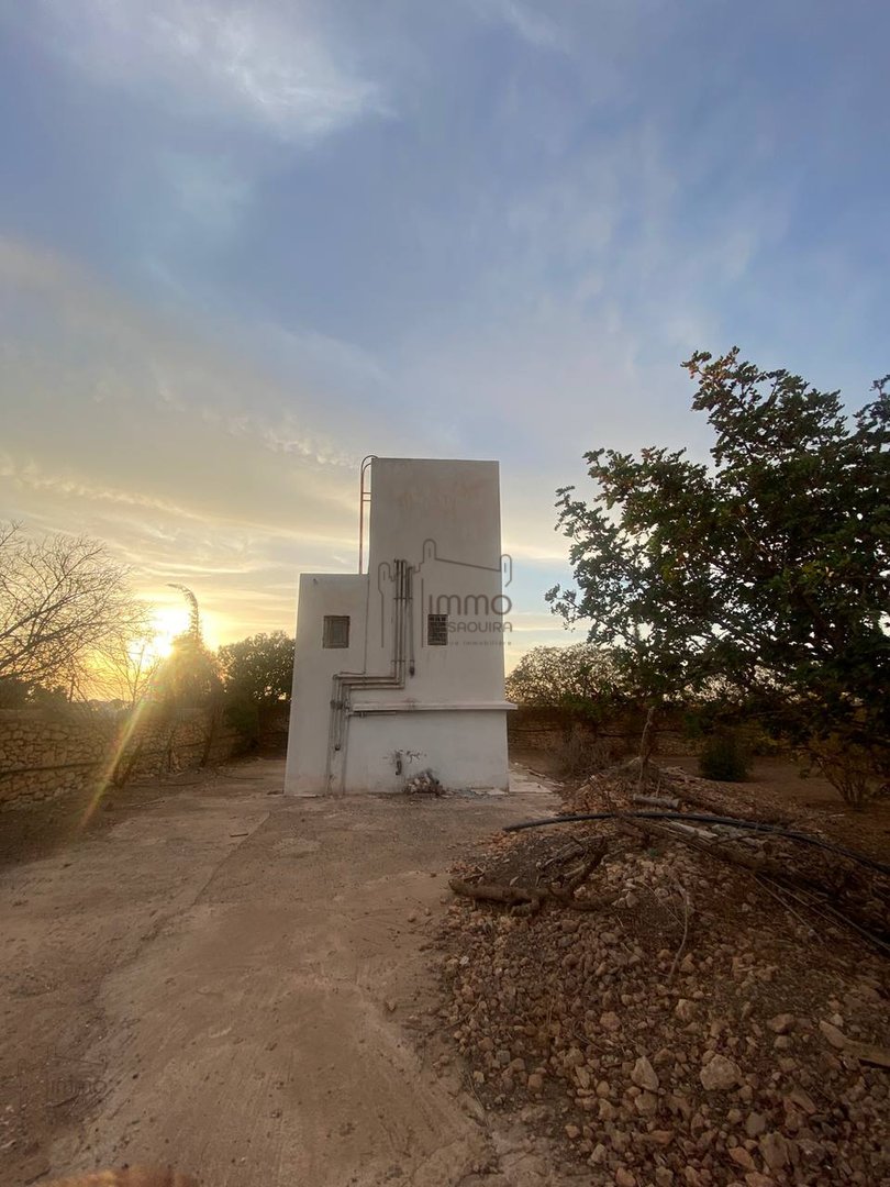 Terreno Agrícola Titulado en Venta: 12 000 m² - Photo 2