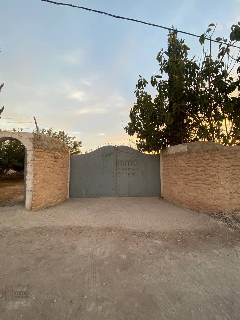 Terreno Agrícola Titulado en Venta: 12 000 m² - Photo 1