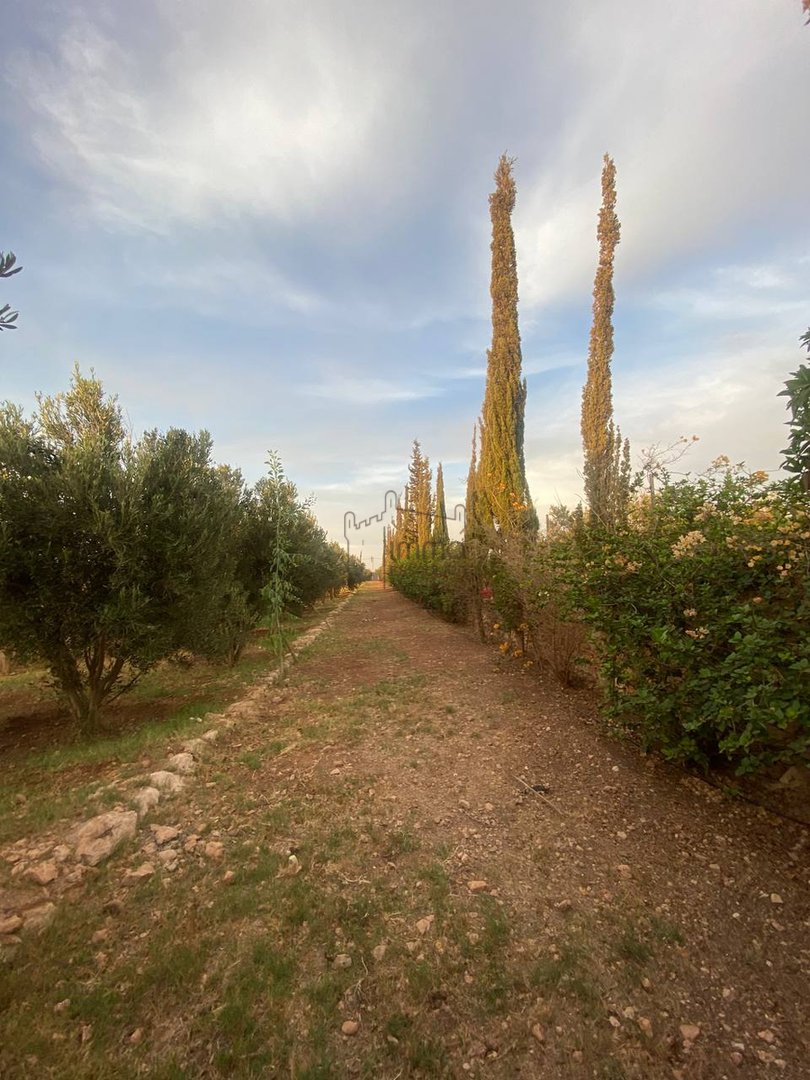 Terreno Agrícola Titulado en Venta: 12 000 m² - Photo 9