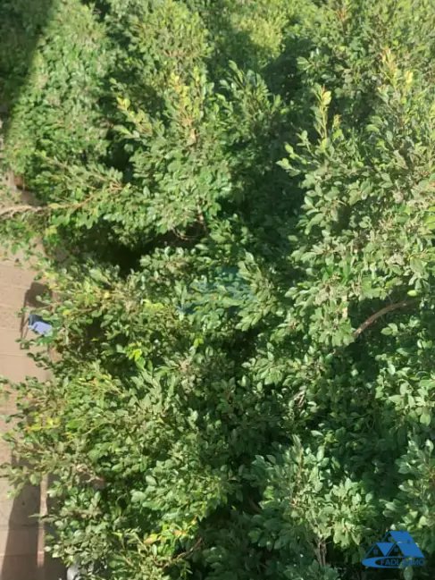 Bureau à louer avec parking au deuxième étage - Photo 7