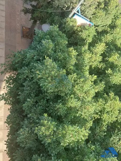 Office for rent with parking on the second floor - Photo 2