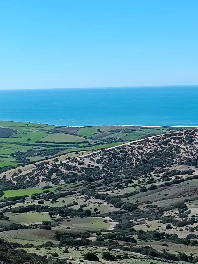 Terrain titré à vendre - Photo 3