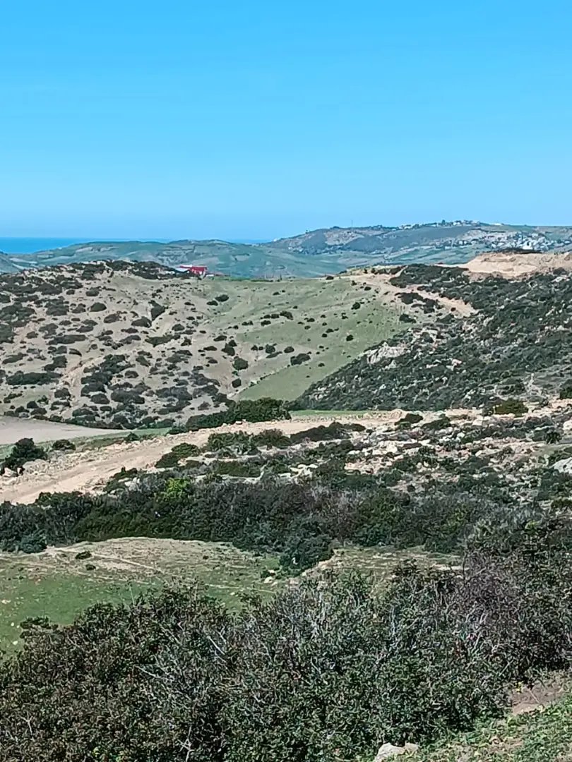 Terrain titré à vendre - Photo 1