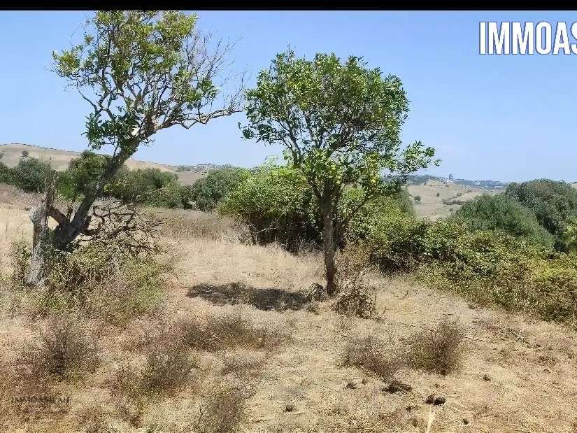 أرض محفظة للبيع لاستغلال زراعي - Photo 2