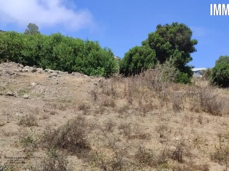 أرض محفظة للبيع لاستغلال زراعي - Photo 1