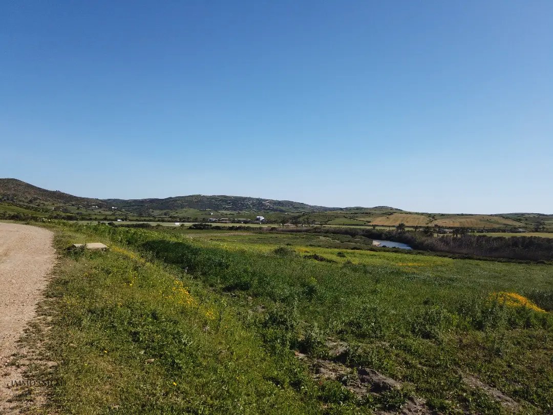 أرض محفظة للبيع لاستغلال زراعي - Photo 1