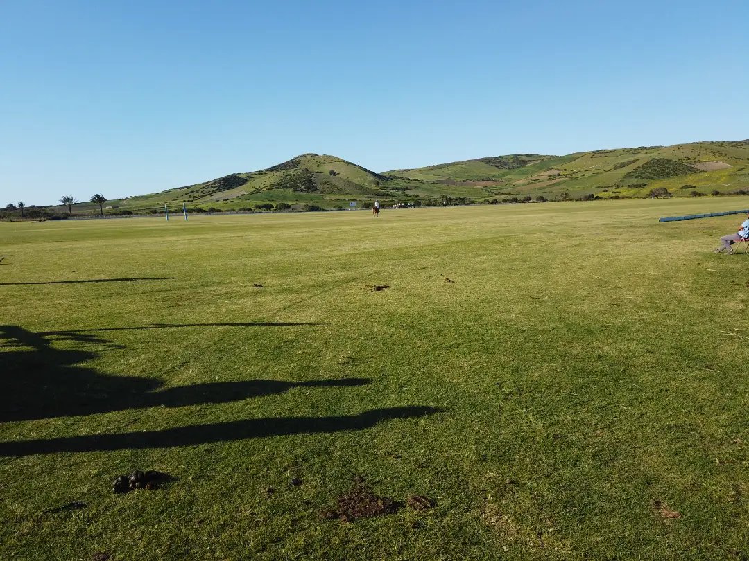 أرض محفظة للبيع لاستغلال زراعي - Photo 4