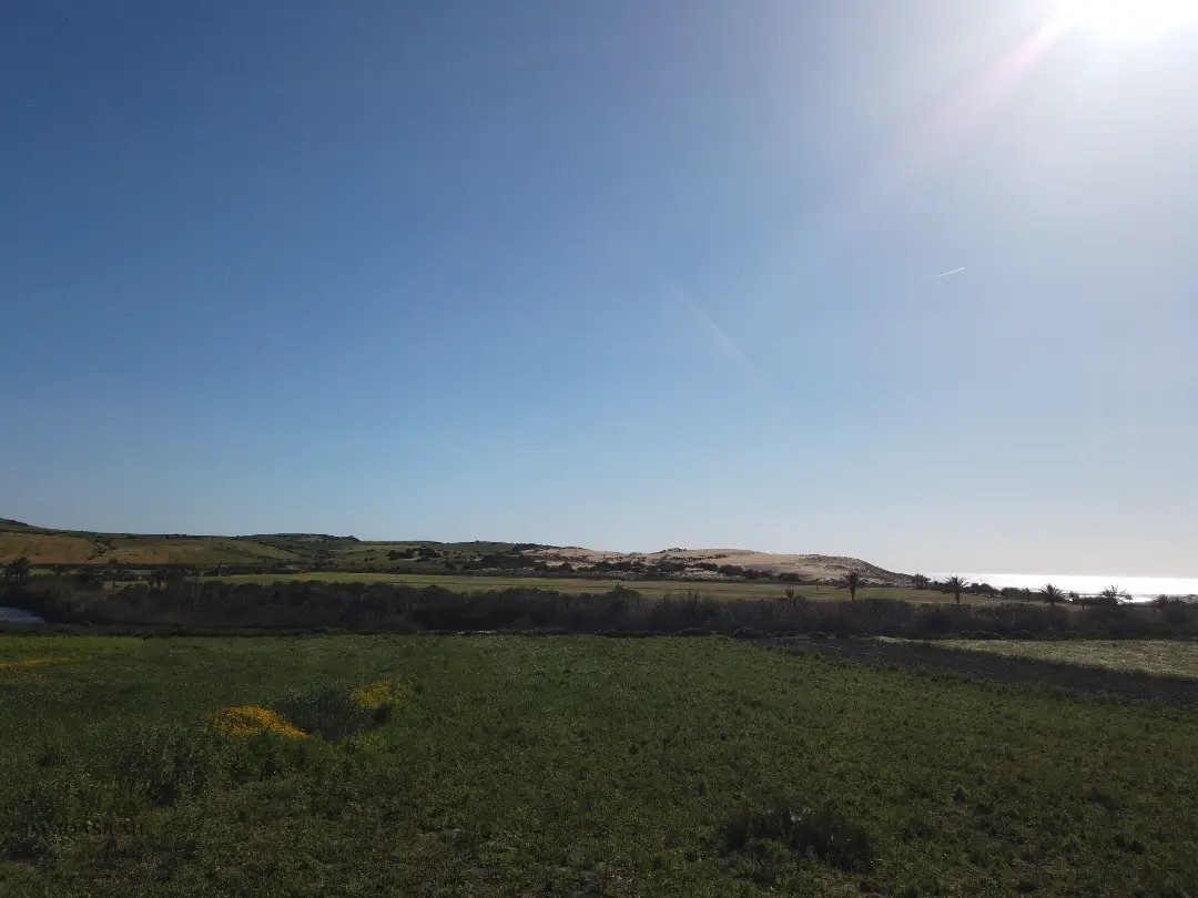 أرض محفظة للبيع لاستغلال زراعي - Photo 2