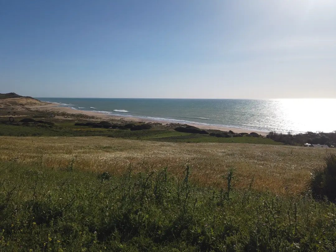 أرض محفظة للبيع لاستغلال زراعي - Photo 3