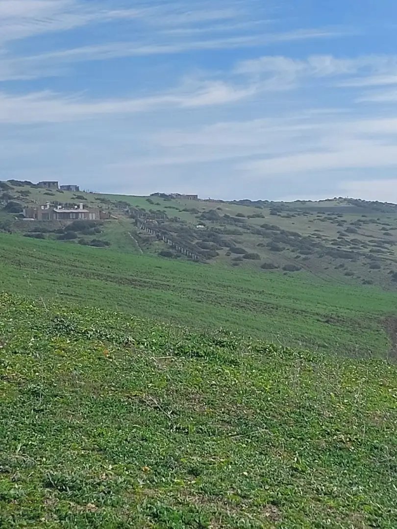 أرض محفظة للبيع لاستغلال زراعي - Photo 5