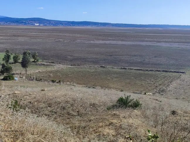 أرض محفظة للشراء لنشاط صناعي - Photo 7